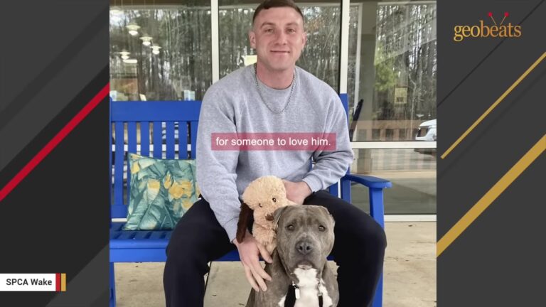 North Carolina Dog Who Altered His Stuffed Toy To Look Just Like Him Finally Gets The Home He Deserves