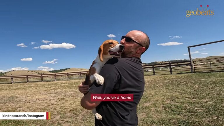 Wyoming Rescuer Met A Lab Dog Who Didn’t Know How To Be Held, But A Simple Countdown Changed Everything