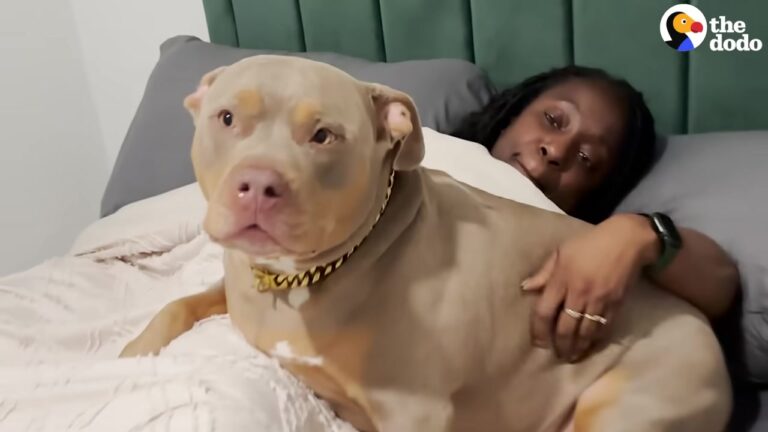 California Dog Gives Her Owner The Ultimate Attitude, But Completely Melts For One Special Person